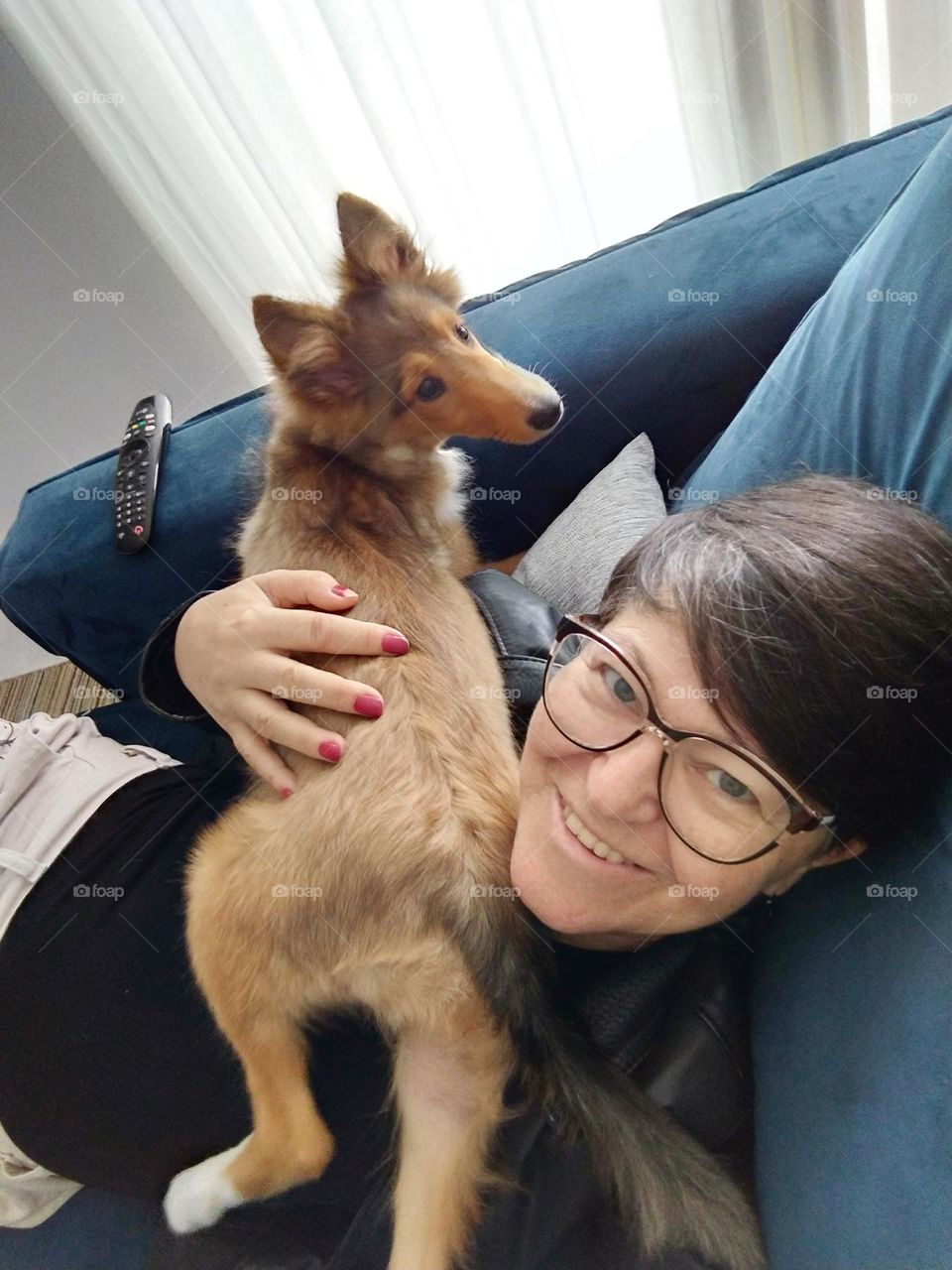 Zion pastor de shetland