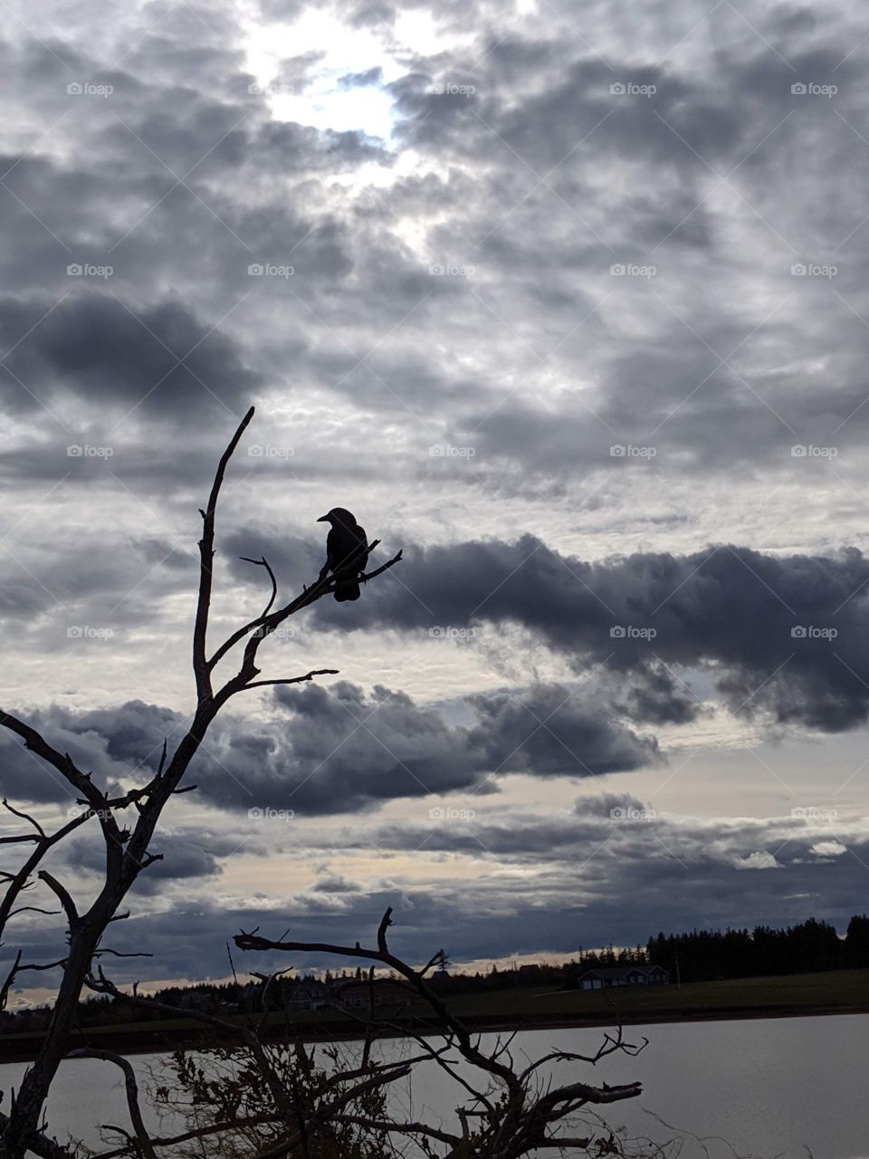 Dark clouds and Crow.