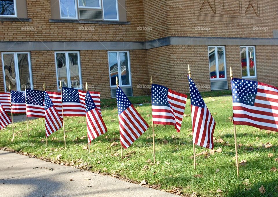 Veteran’s Day flags lining the sidewalk