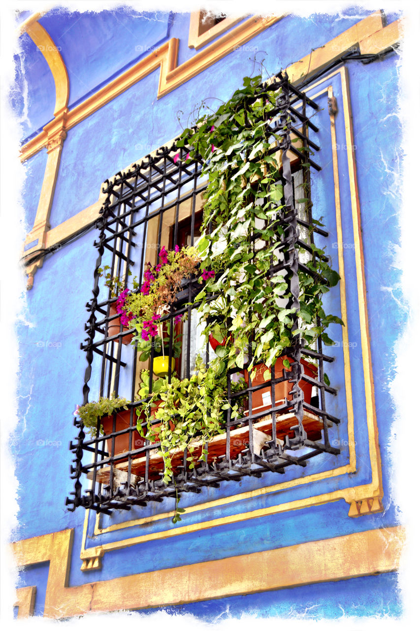 Naturaleza Urbana, La Casa Azul. Naturaleza Urbana, La Casa Azul (Albarracin - Spain)