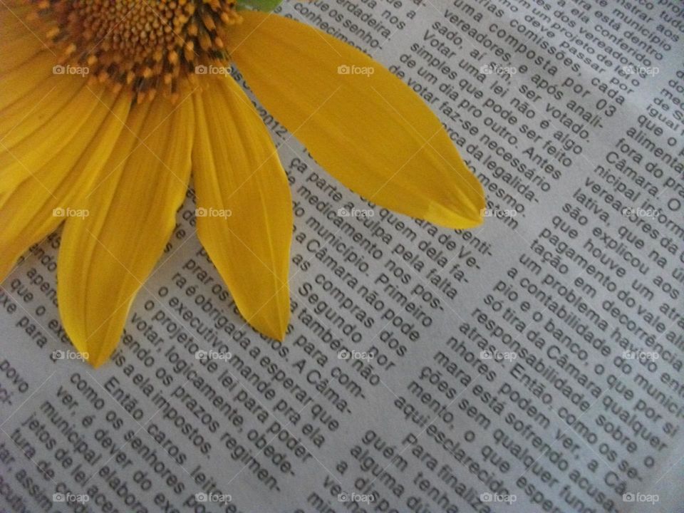 Perfumes e histórias