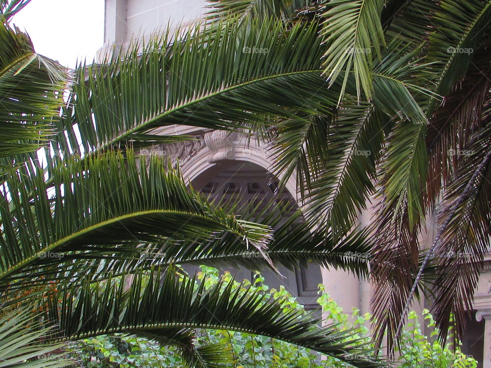 Nature's hidden architecture