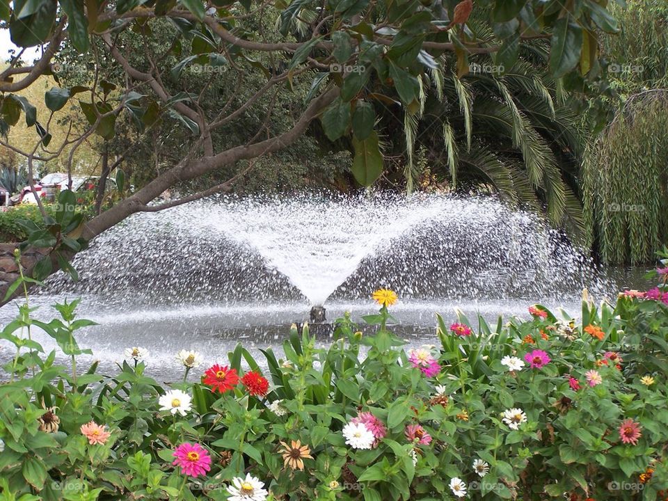Cline Fountain