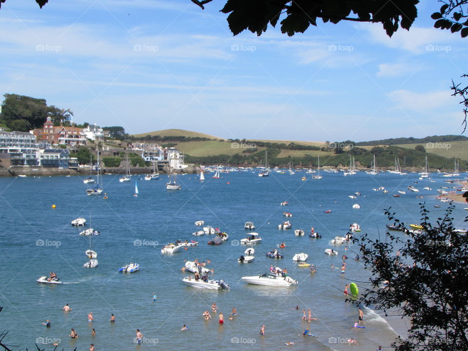 Dart estuary