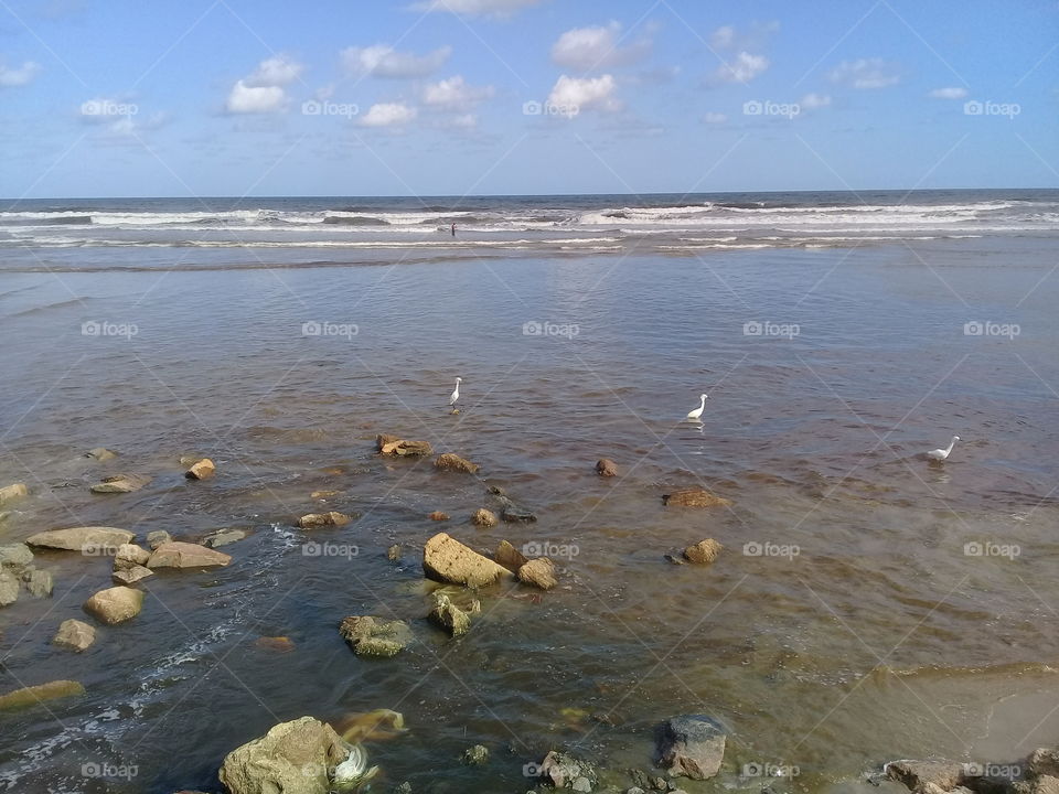 Mongaguá beach. Brasil
