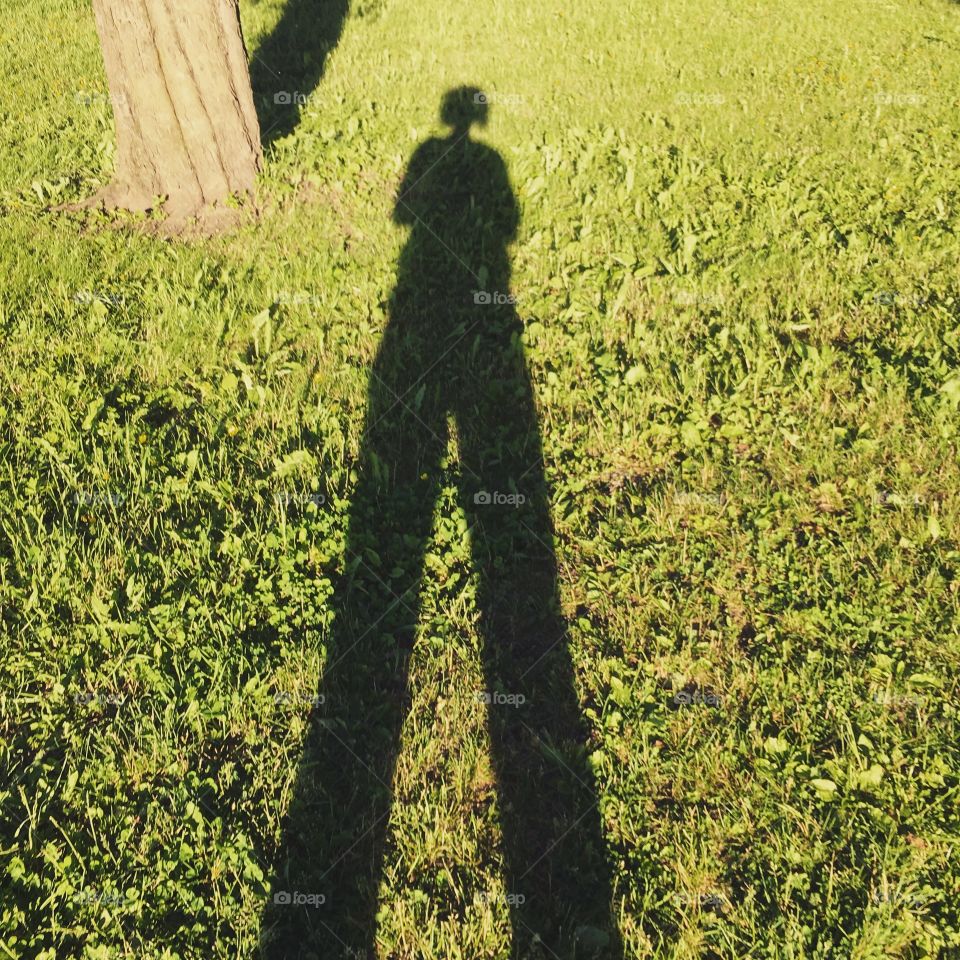 Tall shadow