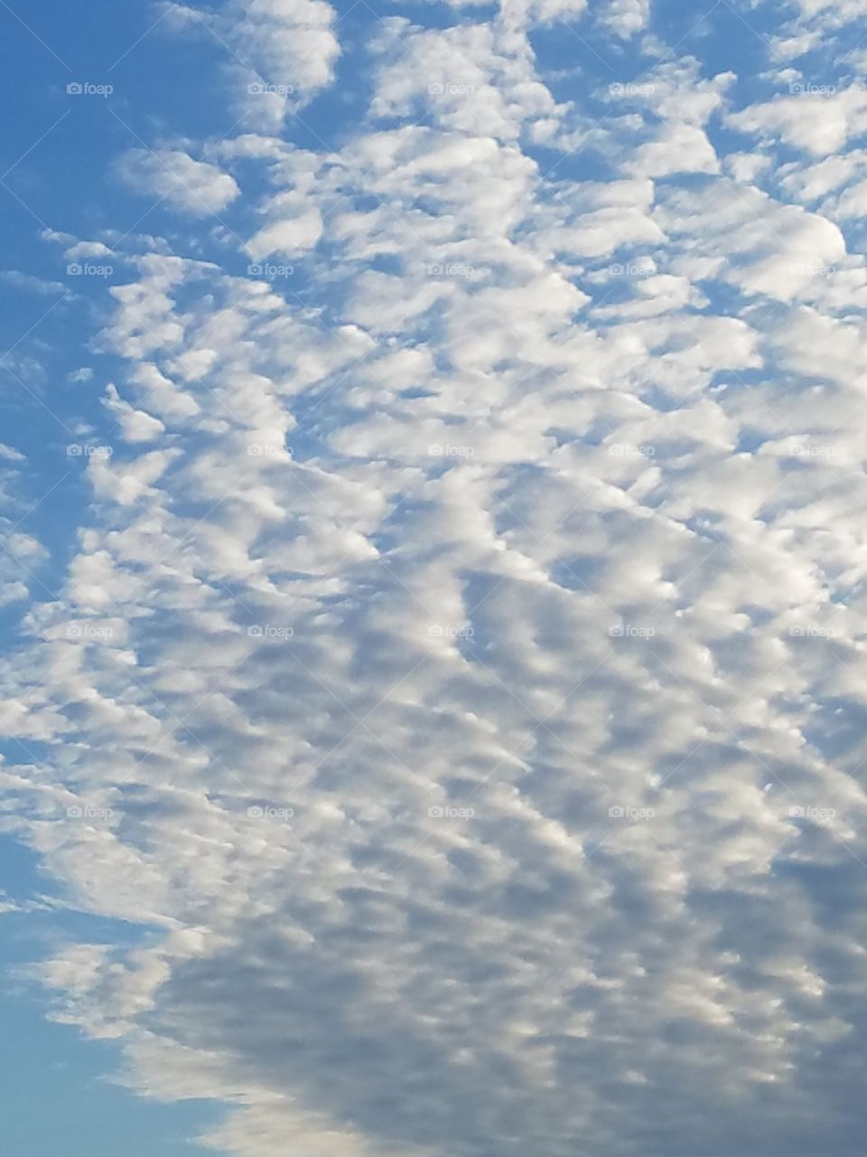 simple life simple things