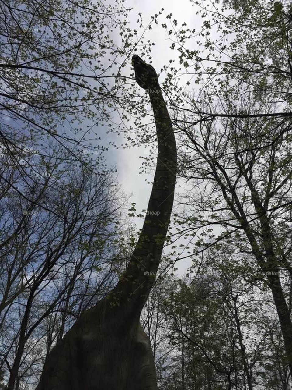 Dinosaur in the trees