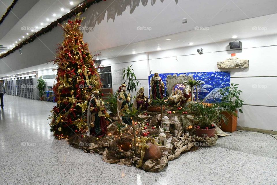Árbol de Navidad