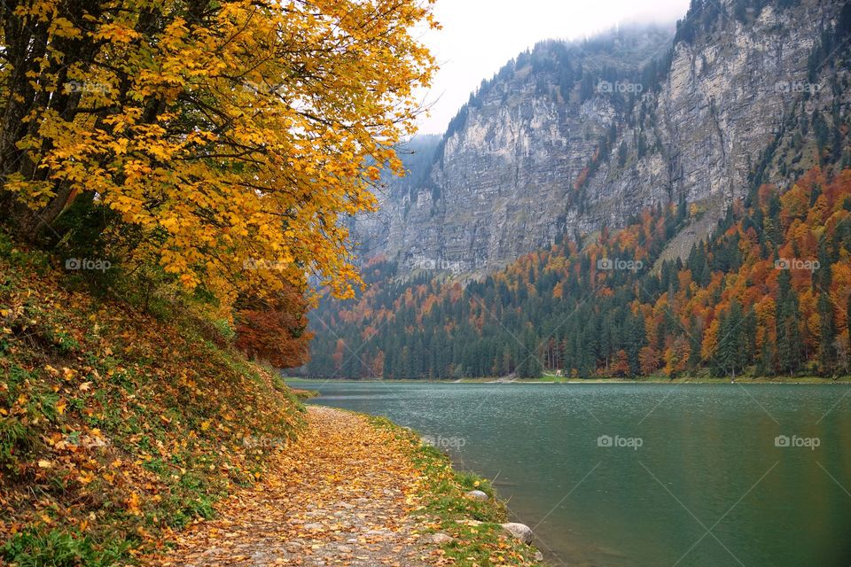 View of autumn trees near lake and mountain