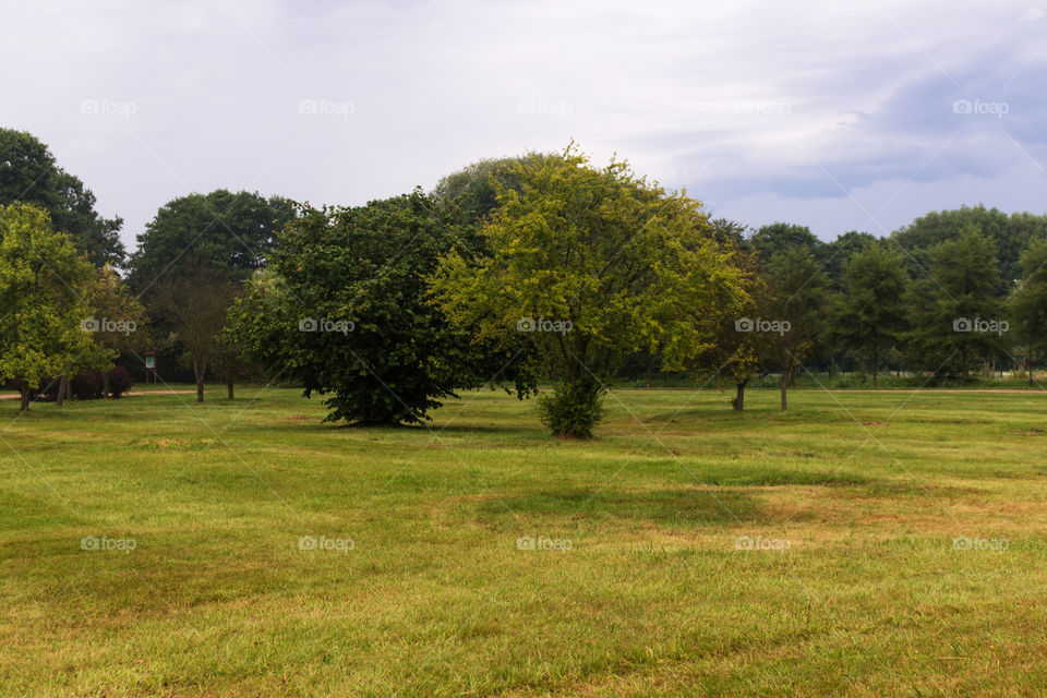 •  🌳  Ronald Reagan Park • Gdansk • Poland
•  💚  Summer Scene In The Park With Green Grass