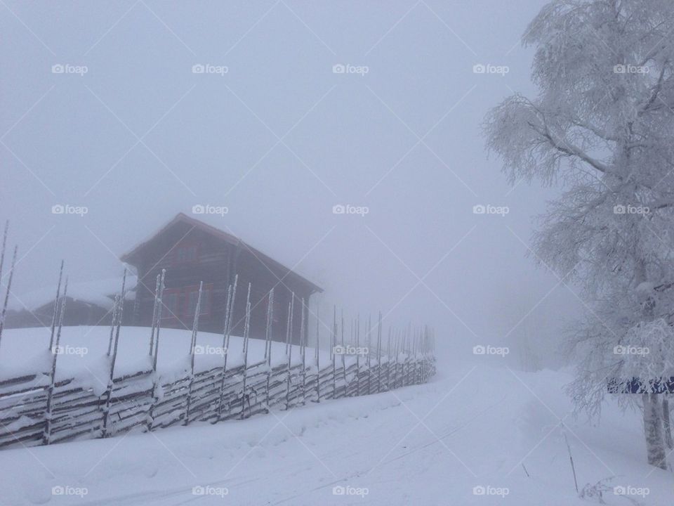 Winter in the mountains