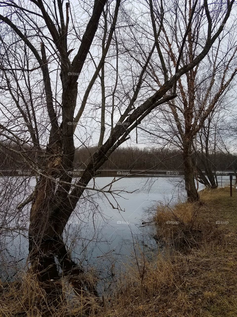 Driving the back Roads