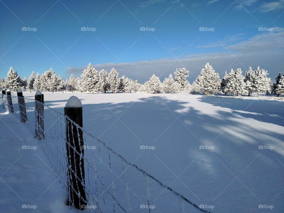 Central Oregon Crooked River Ranch Terrebonne Winter Snow