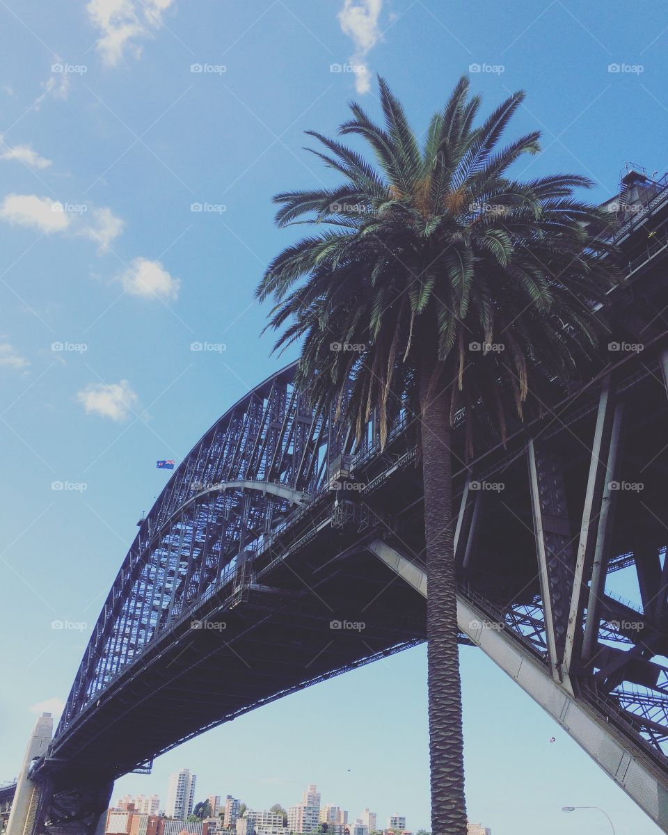 Sydney harbour bridge. 