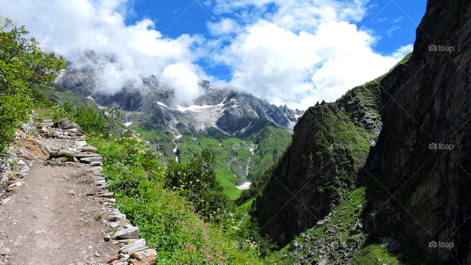 Valley of Flowers