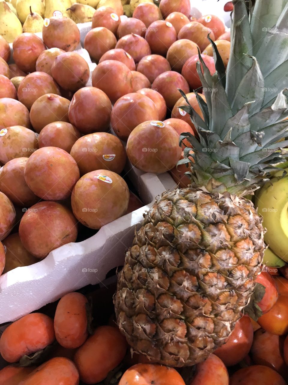 Fruits fruit Morocco 