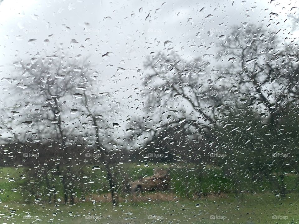 Raindrops on the window and many trees in the forest 
