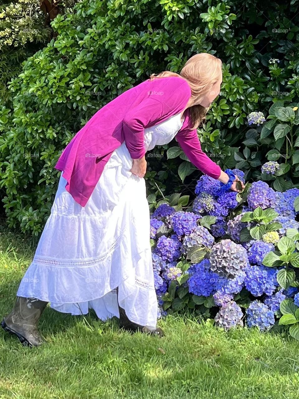 Colours in the garden 