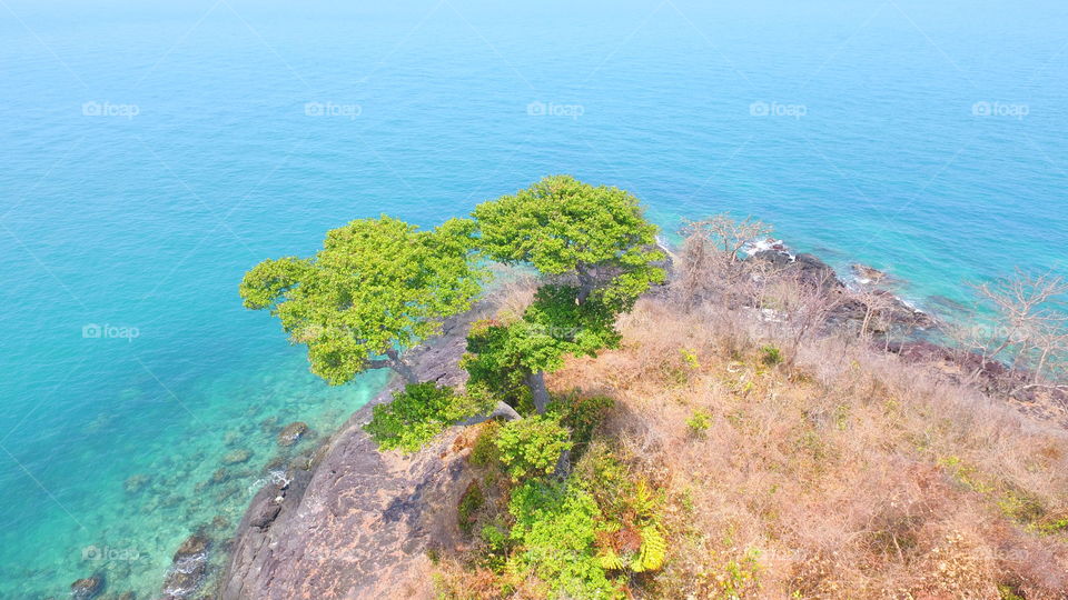 Sea, Water, Seashore, Landscape, Ocean