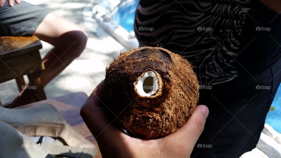 open mouth face on coconut