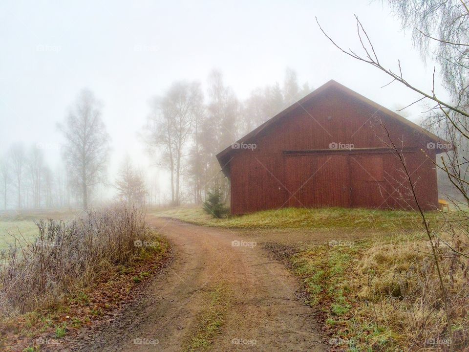 Foggy morning