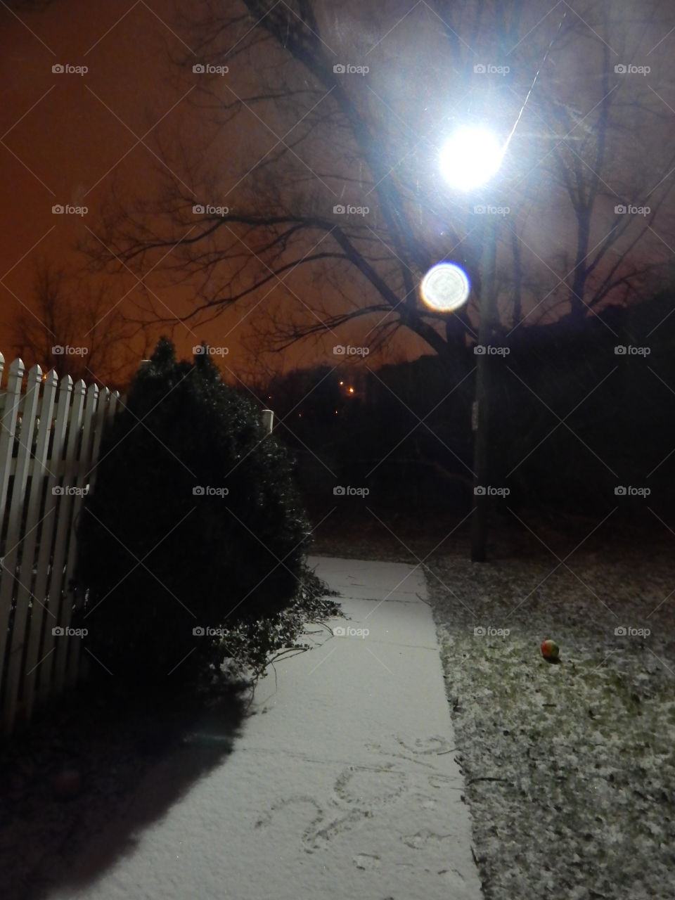 Nighttime Snowfall