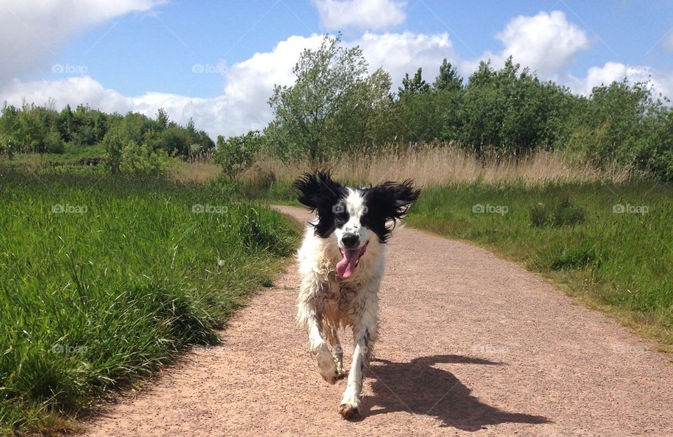 A walk on a windy day 