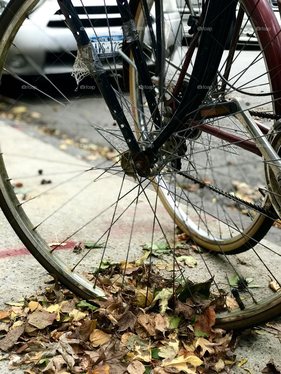 Old bicycle in Brooklyn in the fall 