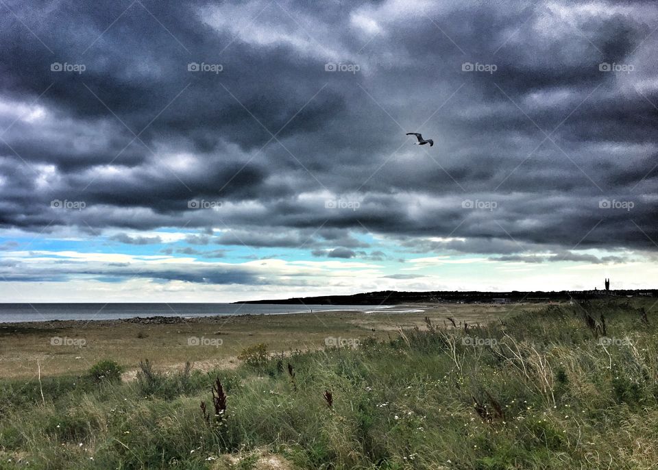 South Shields Sea