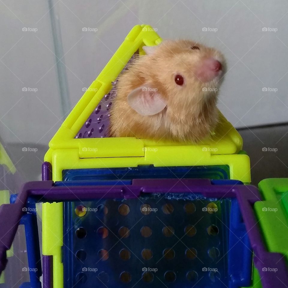 does this make my butt look big? 