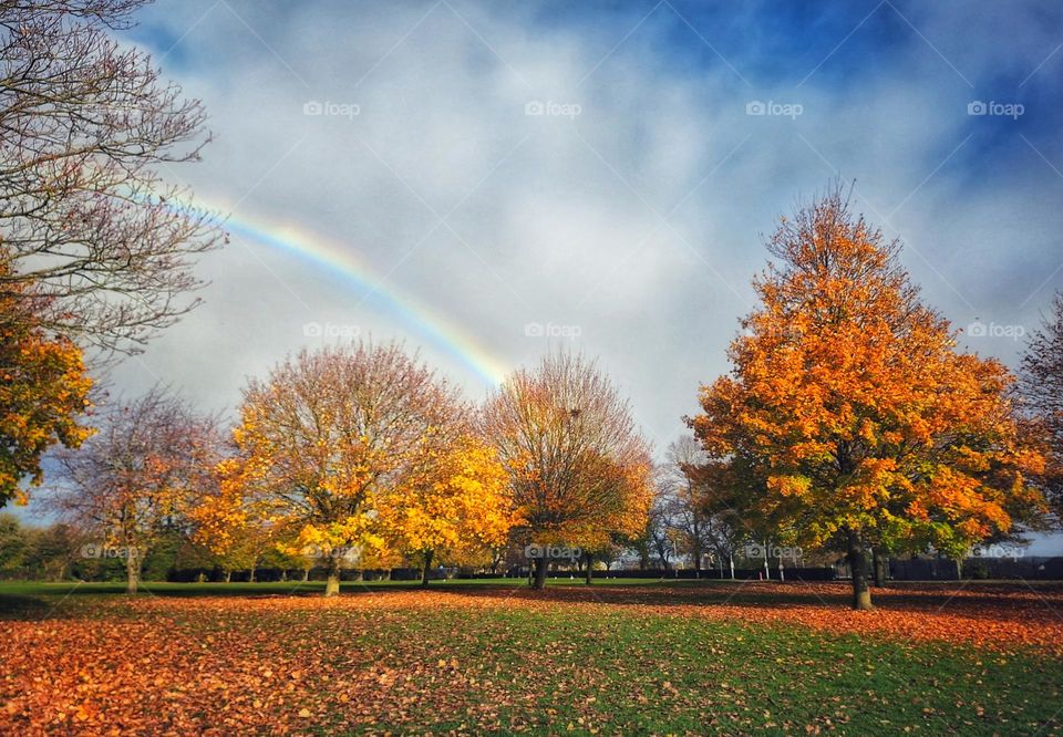 Autumn colours and rainbow