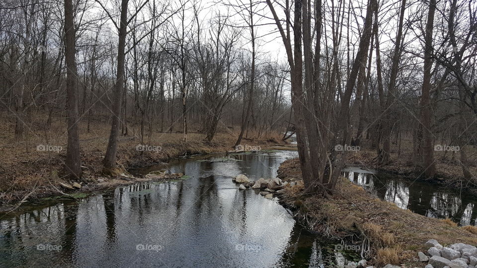 Crane Creek in winter