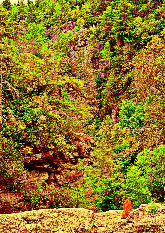 Mountain trail 