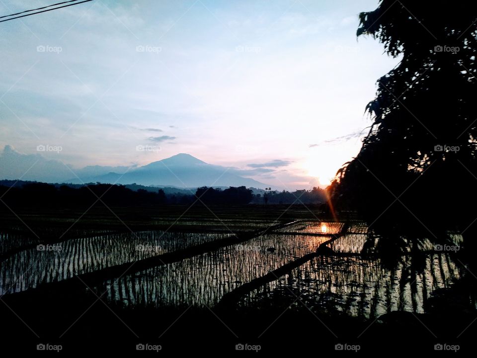 Landscape afternoon in the village