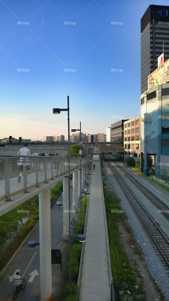 Paths along the schuylkill river