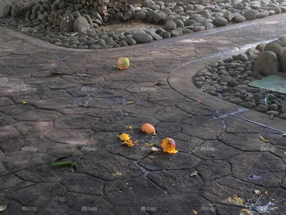 Fallen fruit