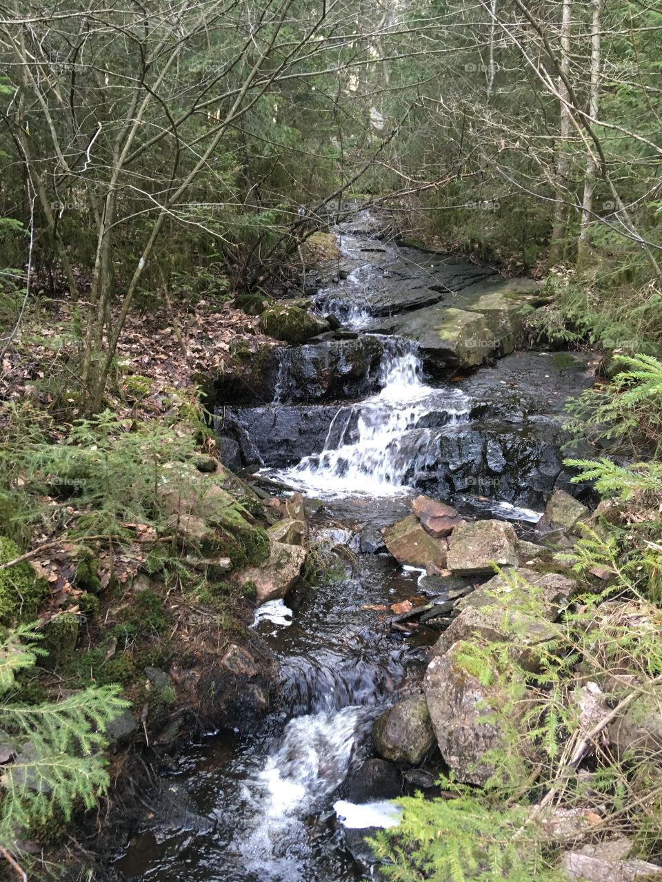 Water, Stream, Nature, River, Waterfall