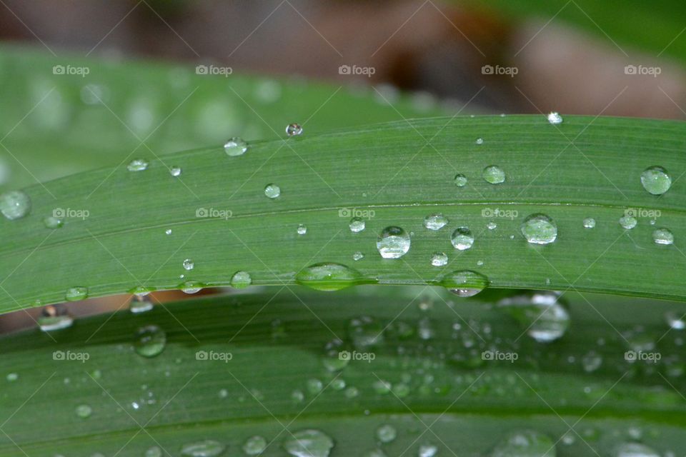 more raindrops