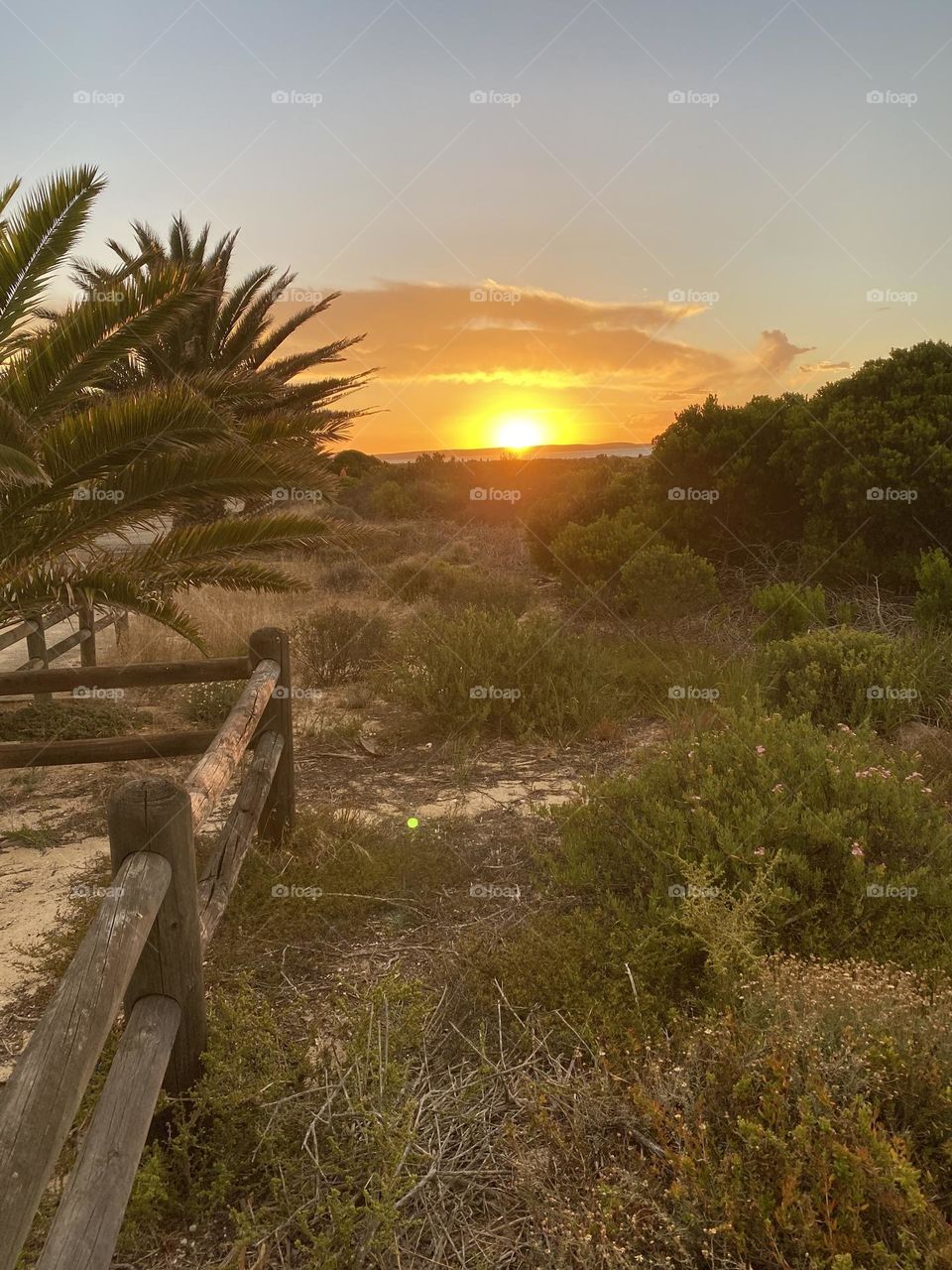 Sunset over ocean