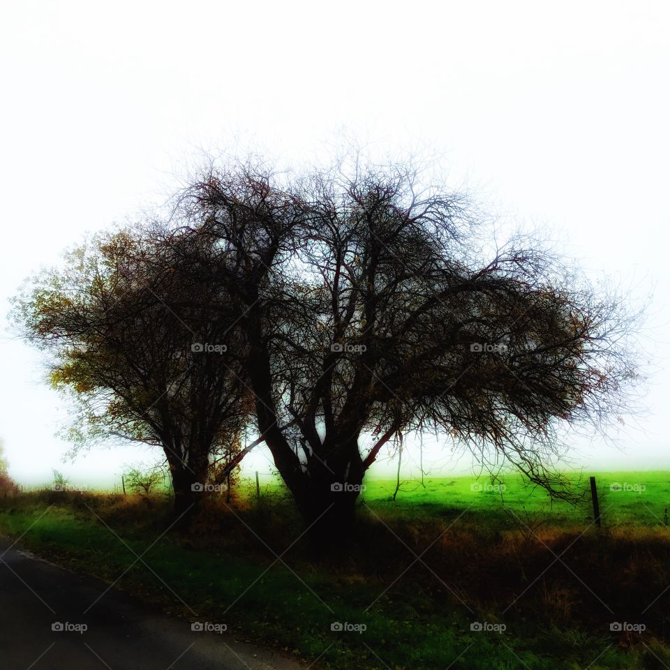 Blurry as existence...