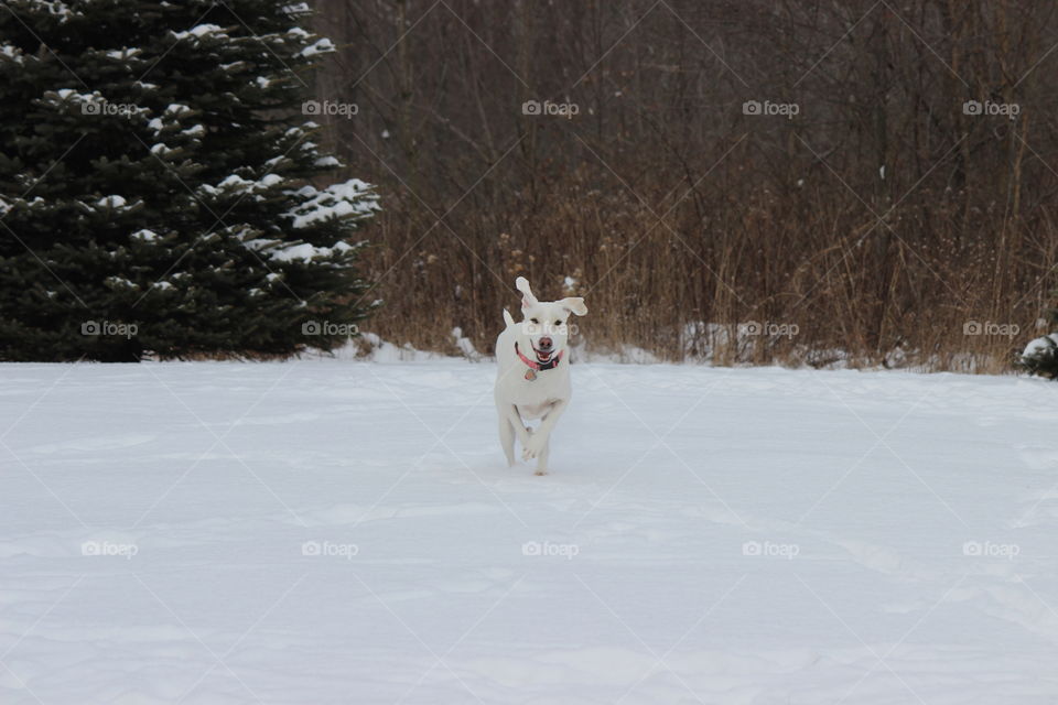 Time for Supper Elle