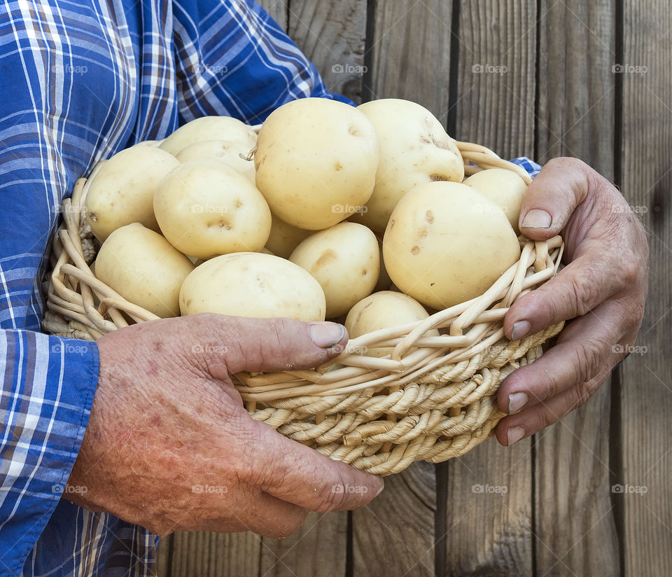 Potato in basket
