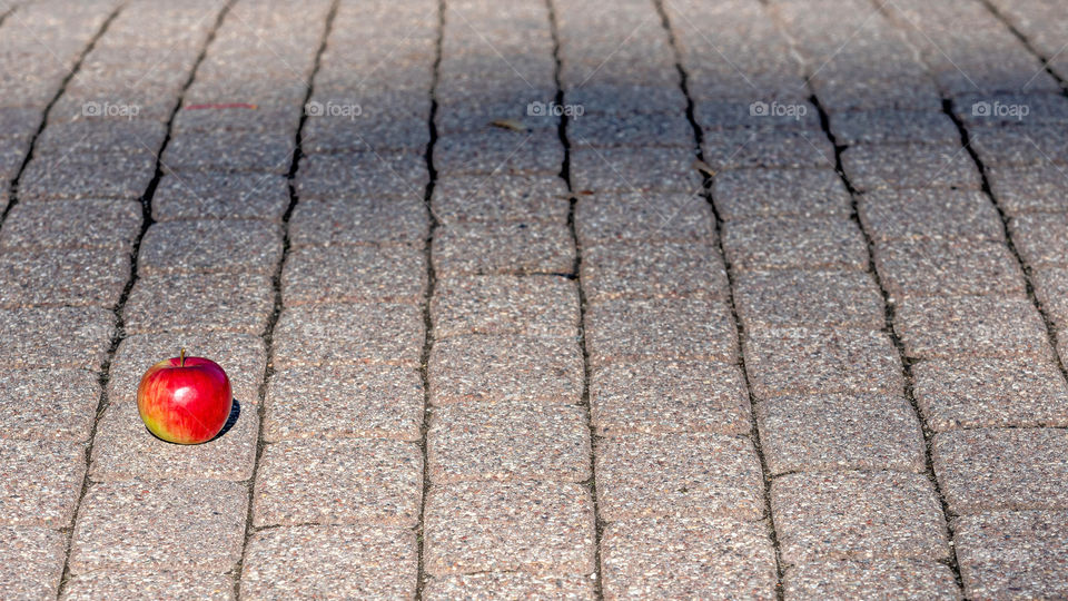 Footpath brick blocks with red apple, the beautiful pathway in the public park in the morning.