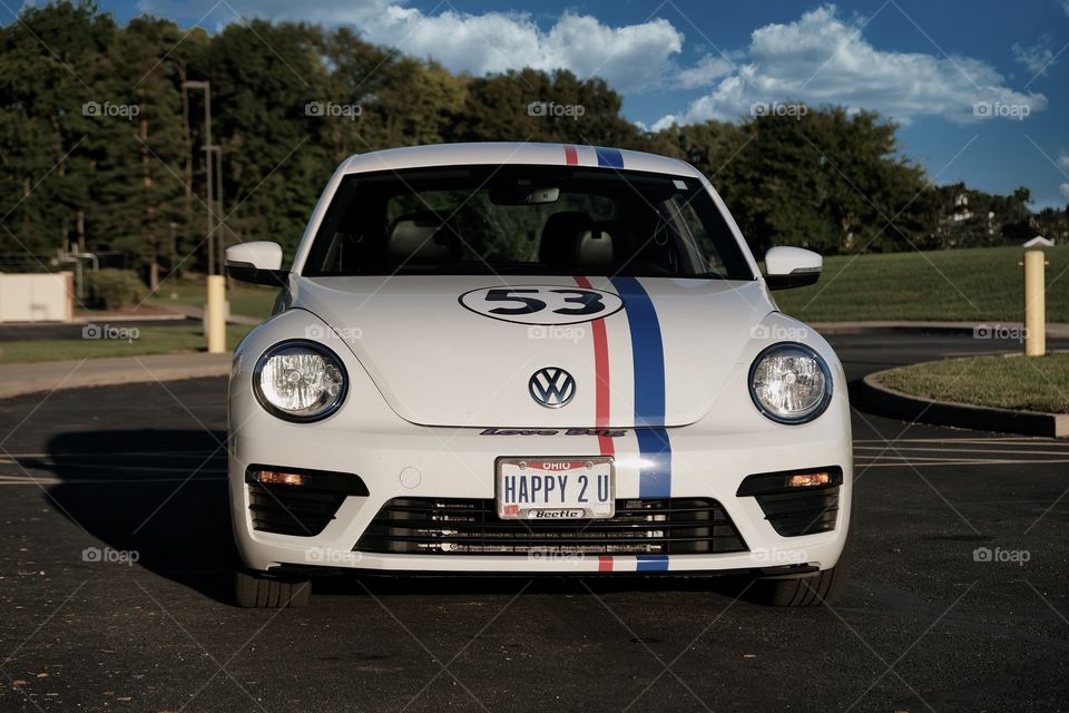 Herbie the Love Bug