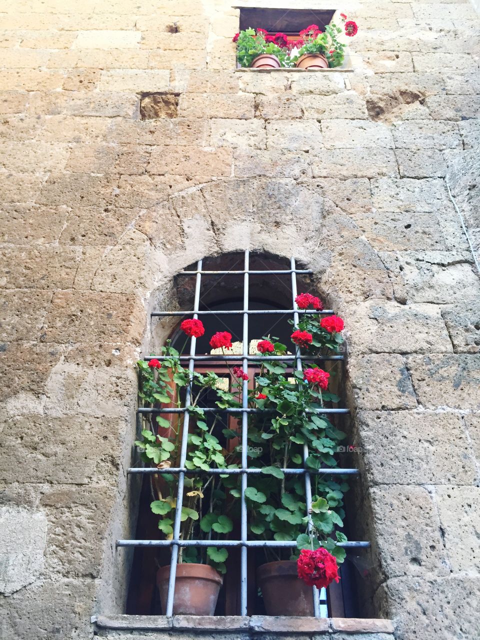 Geraniums on stone wall