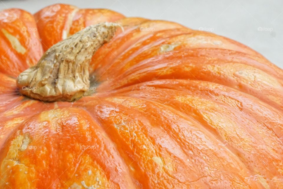 Close-up of pumpkin