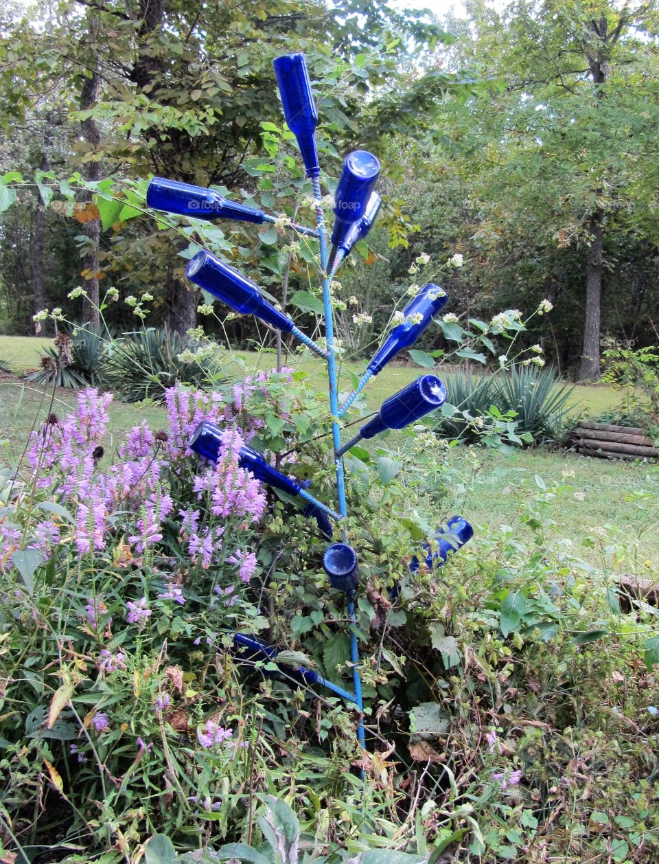 Colored glass bottle tree