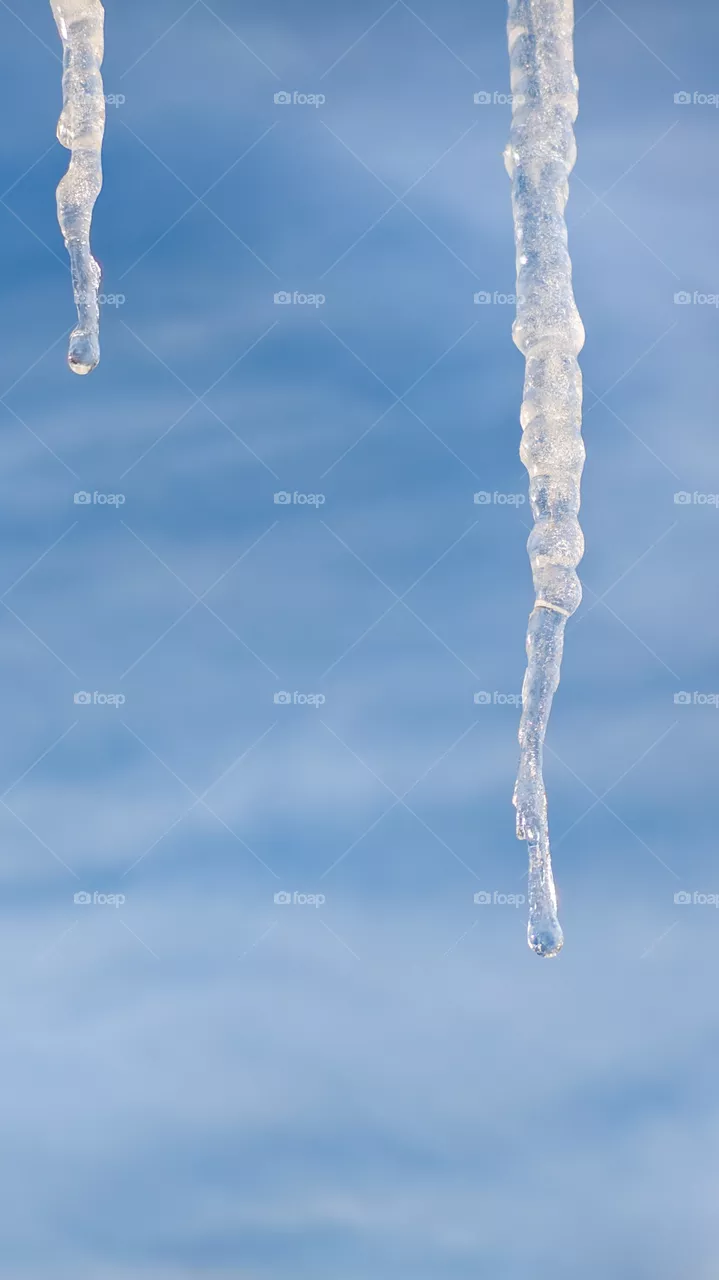 Melting icicles against the blue sky