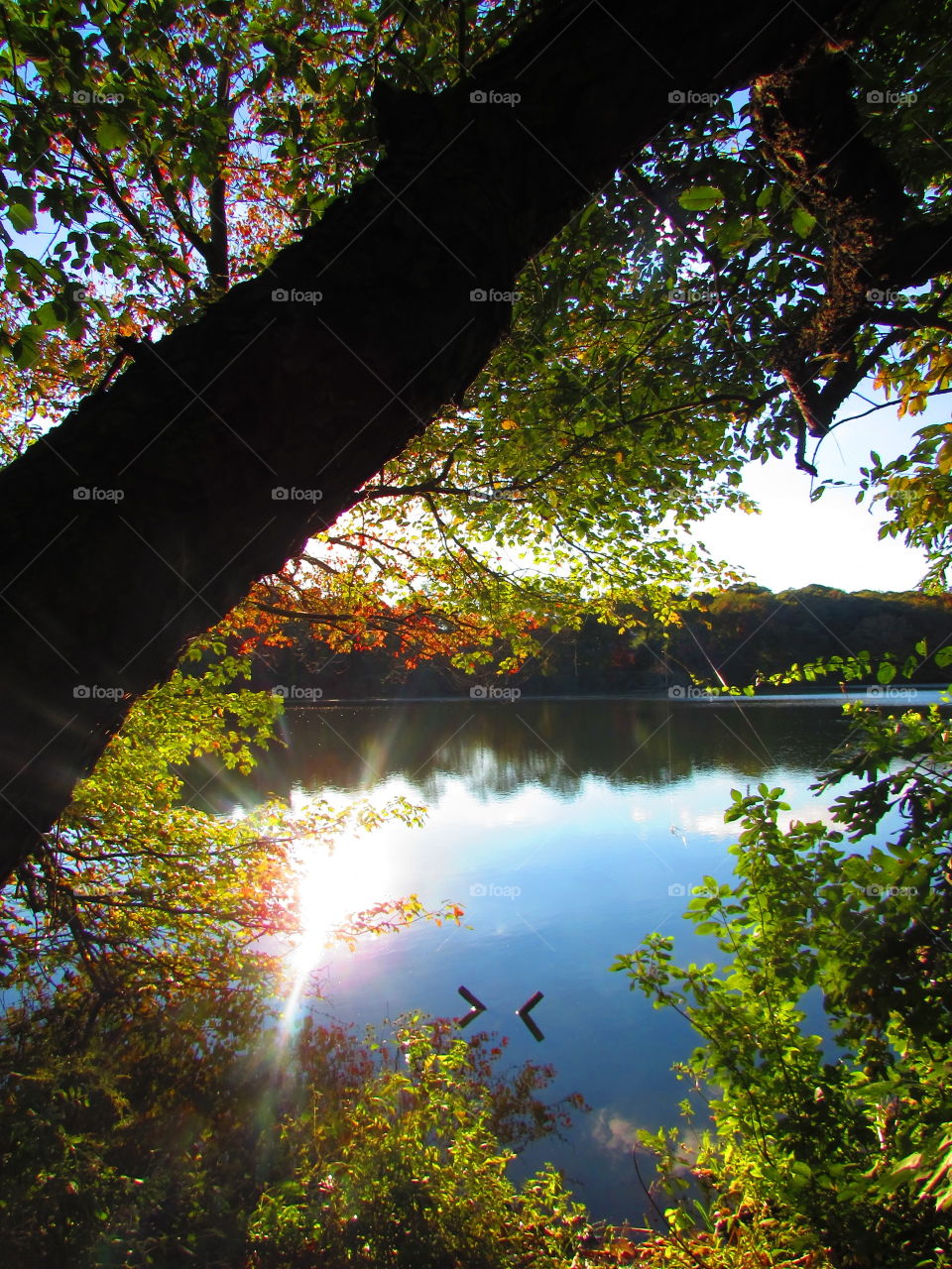 Autumn colors